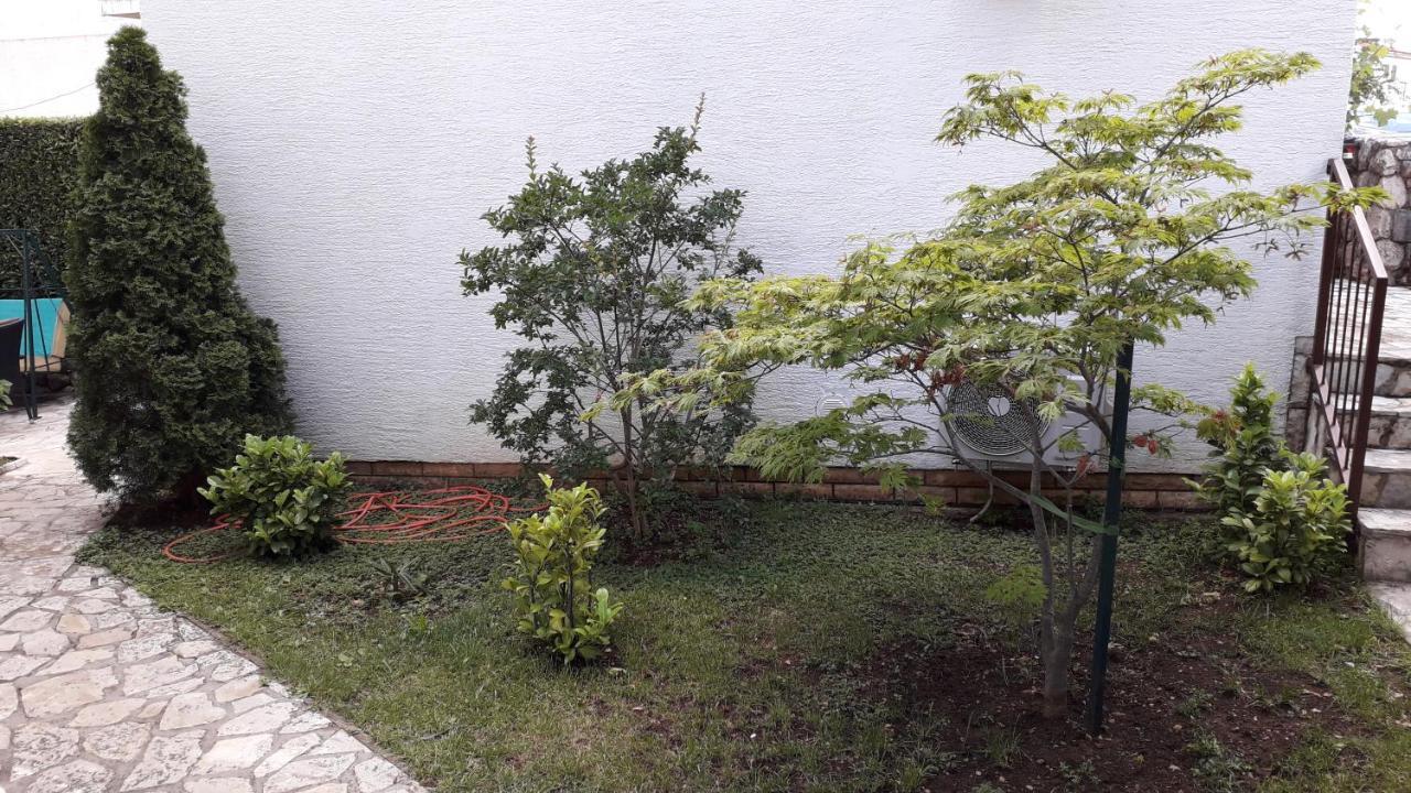 Apartments Svjeta 자드라보노 외부 사진